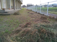 奉仕作業３