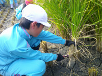 DSCF0062