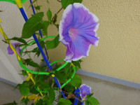 DSC03322
